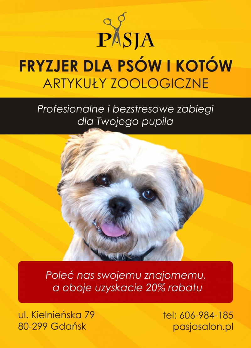 Pielęgnacja kot&oacute;w Gdańsk