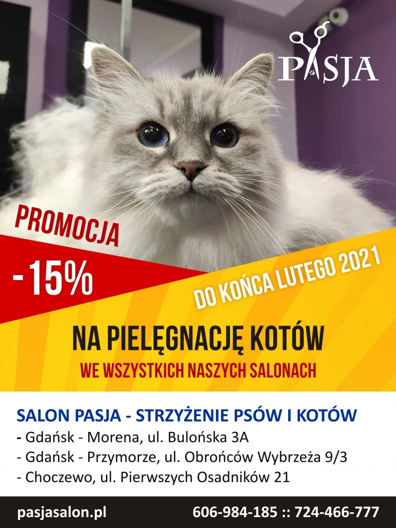 Pielęgnacja kot&oacute;w Gdańsk